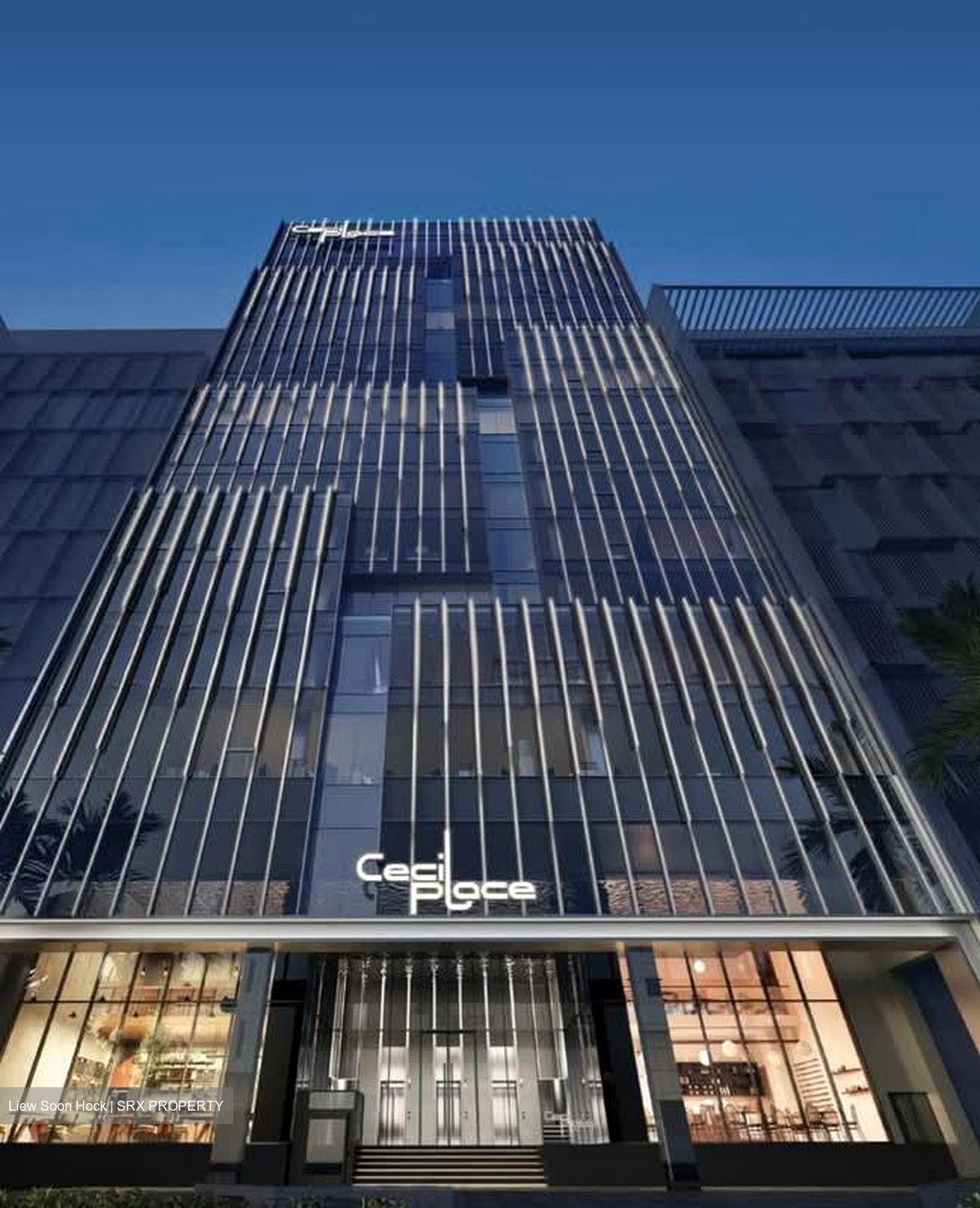 Cecil Suites (D1), Office #540819431